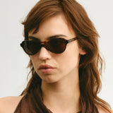 Frederic Tortoise Brown