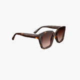 Modena Tortoise Gradual Brown