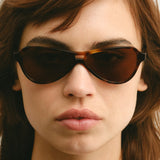 Frederic Tortoise Brown