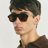 Gerard Tortoise Brown