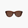 Brown sunglasses on a white background