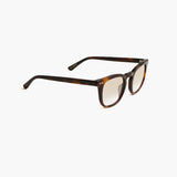 Will Tortoise BL (Gradient Brown Lens)